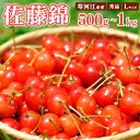 【ふるさと納税】《先行予約》 令和8年産 さくらんぼ 選べる!「佐藤錦」 秀品 500g 1kg Lサイズ 山形県産 2026年産 【2026年6月上旬頃〜下旬頃発送予定】 ※配送不可 沖縄・離島 お取り寄せ 特産 フルーツ 果物 果実 くだもの サクランボ 東北 ふるさと納税 果物 山形