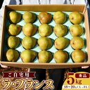【ふるさと納税】山形県産 ラ・フランス 5kg(18玉〜20玉)《ご自宅用》 L〜2L 山形産 【2025年11月頃〜12月上旬頃発送予定】 / 果物 フルーツ 果実 梨 お取り寄せ ご当地 特産 農家直送 旬 秋 製菓 スイーツ デザート おやつ 東北 山形県 2025年産 令和7年産 5キロ