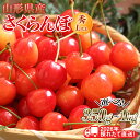 【ふるさと納税】ランキング1位獲得!! 山形県産 さくらんぼ 品種おまかせ(佐藤錦・紅秀峰など)《 350g~1kg 》 秀/L以上 バラパック詰め 2026年6月中旬頃より発送 果物 くだもの フルーツ サクランボ チェリー 贈答 ギフト プレゼント 産地直送 2026年先行予約 FYN6-250var