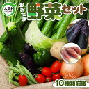 【ふるさと納税】野菜 セット ( 10種類前後 ) 旬 野菜セット お試し 5000円 5000円以下 採れたて 新鮮 産地直送 おまかせ 詰め合わせ やさい SDGs 炒め物 サラダ グリル 煮物 スープ 鍋 大人気 順次発送 送料無料 福島県大玉村 01104