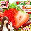 【ふるさと納税】いちご とちあいか 年内発送 訳あり 全国 1位 苺 ランキング 最旬 高レビュー | 選べる 発送時期 & 用途 ご褒美 贈答 おいしい 高級 プレゼント | 生産量 日本一 果物 フルーツ 苺 イチゴ 25/26年分 シーズン 先行受付 (クラウドファンディング対象)