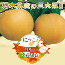 【ふるさと納税】N05 梨 なし にっこり梨 5kg フルーツ 先行予約 2024年 10月 中旬頃 栃木県