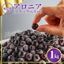 【ふるさと納税】アロニア(ブラックベリー)1kg ベリー 果物 フルーツ ヨーグルト スイーツ おやつ 健康 栄養 スーパーフード お中元 お歳暮 ギフト 小松市 石川県 008051【JA小松市】