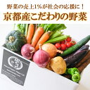 【ふるさと納税】《2023年6月より順次発送》【緑のゆうき】野菜の売上1%が社会の応援に 京都産こだわりの野菜(有機野菜、栽培期間中農薬・化学肥料不使用など)の一番美味しいタイミングで収穫したセット│京都市 京都 野菜 採れたて