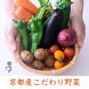 【ふるさと納税】【緑のゆうき】購入された野菜の売上の1%が、社会貢献に 京都産のこだわり野菜(有機野菜、栽培期間中農薬・化学肥料不使用など)を 美味しいタイミングで収穫したセット | 京都 京都市 京都府 野菜 京野菜 採れたて グルメ 逸品 お取り寄せ おいしい 人気
