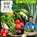 【ふるさと納税】野菜 定期便 1回 6回 12回 京都 佐伯の里 新鮮 旬の野菜セット 7~10品 京都丹波・亀岡産 季節の野菜 詰め合わせ≪産地直送 直売所 お試し 6ヶ月 12ヶ月 訳あり 期間限定・特別価格≫※配送不可地域あり