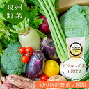 【ふるさと納税】季節の泉州野菜セット(小:7種)