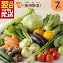 【ふるさと納税】旬の野菜 セット 詰め合わせ 7種類 1箱 5kg以内 国産 新鮮 お試し おまかせ お楽しみ 泉州野菜 果物 加工品 泉佐野市産 野菜 朝採れ 季節の野菜 食品 冷蔵 お取り寄せ 最短 翌日発送 5営業日 大阪府 泉佐野市 送料無料