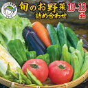 【ふるさと納税】 野菜 セット 季節の野菜 10〜13品 大容量 産地直送 お試し 新鮮