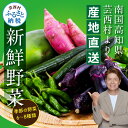 【ふるさと納税】【先行予約】【11月発送~受付中】野菜 朝採れ 野菜詰め合わせ 5000円台 朝獲れ セット 芸西村の新鮮野菜6~8種類 野菜 詰め合わせ お試し 新鮮 食べ比べ 特産品 ピーマン 環境 ナス 旬 支援品 故郷納税 野菜セット 産地直送 こだわり栽培 環境に優しい