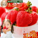 【ふるさと納税】予約 【TVで紹介!】【特別栽培/有機質肥料/アフター保証】 あまおう <選べる 種類・容量> 約400g~合計約1710g デラックス/エクセレントサイズなど【2025年12月上旬又は2026年1月上旬~4月上旬発送予定】 いちご 苺 送料無料