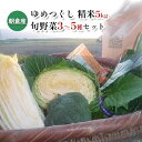 【ふるさと納税】米 5kg 季節野菜 セット 精米 ゆめつくし 【お米・野菜・セット・詰合せ】