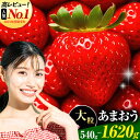 【ふるさと納税】★2026年出荷の先行予約★いちご あまおう 先行予約 いちご大量 540g 1080g 1620g ふるさと納税 フルーツ 苺 旬 訳あり 数量限定 ふるさと納税 不揃い 傷 4月 規格外 規格外果物 くだもの 果物 【着日指定不可】《2月中旬-4月末頃出荷》