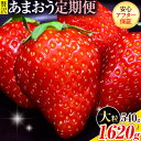 【ふるさと納税】【2ヶ月定期便】いちご あまおう 先行予約 いちご大量 540g 1080g 1620g ふるさと納税 フルーツ 苺 旬 訳あり 数量限定 ふるさと納税 不揃い 傷 4月 規格外 規格外果物 くだもの 果物 【着日指定不可】《2026年3月・4月頃出荷》