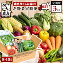 【ふるさと納税】【野菜ソムリエ選定】【曜日・時間帯指定可能】肥前の国 野菜 定期便 3回 計8〜10品目 定番野菜中心 | ふるさと納税 野菜 定期便 3ヶ月 お試し セット 詰め合わせ 国産 佐賀県 鹿島市 ふるさと 人気 送料無料 D-77