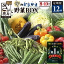 【ふるさと納税】定期便 12回【選べる開始月・サイクル】野菜 定期便 12回 8~10品目 旬のおまかせ野菜セット 12ヶ月 | ふるさと納税 野菜 詰め合わせ 1年 定番野菜 新鮮 産地直送 ふるさと 佐賀県 鹿島市 人気 送料無料 H-13