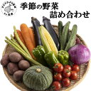 【ふるさと納税】《 発送月が選べる 》季節の野菜詰め合わせ【A9-045】 野菜 季節の野菜 季節の果物 セット 産地直送 新鮮 トマト ニンジン ブロッコリー ジャガイモ 白菜 春野菜農家 季節 サラダ 新鮮 セット やさい 送料無料 夏 松浦市 九州 詰め合わせ おまかせ