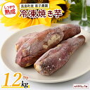 【ふるさと納税】鹿児島県長島町産 恵子農園の冷凍焼きいも(計約1.2kg・約400g×3袋)国産 産直 さつまいも さつま芋 サツマイモ 焼きいも スイーツ お菓子 紅はるか お茶うけ おやつ【レガーレ・ワキタ】waki-1090