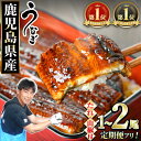 【ふるさと納税】《高評価★4.72獲得》【数量限定】<定期便選べる>東串良町のうなぎ蒲焼(無頭・タレ、山椒付)<1尾~2尾 / 定期便・2尾×3回> ふるさと納税 うなぎ ふるさと ウナギ 鰻 蒲焼き 定期便 国産 九州産 鹿児島県産 人気 ランキング おすすめ 【アクアおおすみ】