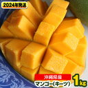 【ふるさと納税】【2024年発送】南国の果物 沖縄県産マンゴー キーツ 1kg