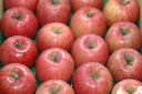 12月分予約 減農薬 サンふじ りんご B品 約4. 5kg 12～23個入 長野 リンゴ 林檎 さんふじ サンフジ 小山 産地直送 SSS