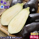 2026年5月分予約 訳あり 泉州 生 水なす 大玉15個 約3kg 水ナス 水茄子 ギフト SSS ※ ふるさと納税 ではありません