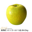 減農薬 長野 シナノゴールド りんご B品 約4.5kg 8～25個入 リンゴ 林檎 産地直送 小山 SSS