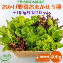 野菜セット 400g 送料無料 水耕栽培 伊勢志摩産 野菜 農家直送 おかげ野菜5種類+おまけ野菜100g詰め合せ サラダ 野菜詰め合わせ おまかせ お試し セット やさい レタス ベビーリーフ ハンサムグリーン 産地直送 JGAP認証農場