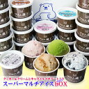 【送料無料】フロム蔵王 HybridスーパーマルチアイスBOX24・NEO(ネオマルチ)【アイスクリームセット】