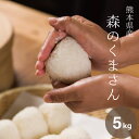 米 白米 5kg 送料無料 森のくまさん 熊本県産 令和4年産 米 5kg 送料無料 白米 お米 5kg 送料無料 米5kg 送料無料 こめたつ 備蓄米 非常用