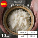 米 10kg 送料無料 森のくまさん 熊本県産 令和5年産 米 10kg 送料無料 白米 無洗米 お米 10kg 送料無料 米10kg 送料無料 こめたつ 備蓄米 非常用 あす楽