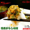 【 ポイント10倍 確定※エントリー必須】ご飯のお供 青唐辛子味噌 250g×3 ちょっぴりお得な3個セット メール便 送料無料 お取り寄せ グルメ 激辛 辛旨 ごはんのとも 国産みそ使用 青唐辛子 味噌 辛い 旨い おにぎりの具 食欲全開 保存食 賞味期限 長い