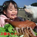 無添加スモークチキン(胸肉 1個  骨付き足 2個)セット♪無薬で育てた広島産 鶏肉を使用した自家製スローフード★手作りの鶏の燻製(くんせい)です♪【送料込み】