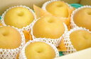 にっこり梨通信販売 栃木オリジナルの大玉系和梨を販売取寄。約5kg 約5玉〜約10玉 栃木産