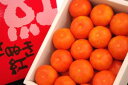 小原紅早生ハウスみかん(さぬき紅みかん) 約2・5kg S〜L 【香川産】果皮がオレンジ色系!人気のミカンが夏に復活です。7月配送