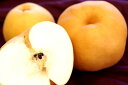 とよたの梨 愛宕梨 あたご梨通信販売 お歳暮に大きい和梨を販売。2玉で約2.5kg 愛知県