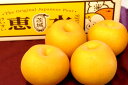 恵水梨(けいすいなし)販売 茨城県オリジナル品種の和梨を通販で取寄せ。約4玉〜約8玉