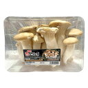 雪国えりんぎ 500g 新潟県産 新鮮 きのこ 冷蔵 菌類 保存 エリンギ 産地 国産 日本 生鮮食品 料理 具材 食材 調理 料理 クッキング レシピ アレンジ 食べ方 食感 大容量 ストック 常備 まとめ買い 買い置き 中華 和食 炒め物【Costco コストコ】