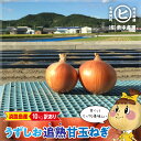 淡路島産うずしお追熟甘玉ねぎ【訳あり うずしお追熟甘玉ねぎ 10kg】東中青果 うずしおファーム 玉ねぎ 新鮮 甘い 訳あり 限定品 絶品玉ねぎ ブランド玉ねぎ うずしお新玉ねぎ ひょうご安心ブランド認証玉ねぎ