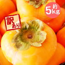 山形県産 庄内柿 しょうないがき 訳あり 約5キロ 予約 送料無料