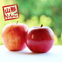 山形県産 訳あり サンふじ りんご 4kg 送料無料 お手頃 約4キロ ジューシーな 山形 のりんご りんご/リンゴ/訳あり/家庭用/わけあり