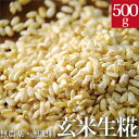 自然栽培 玄米麹 500g