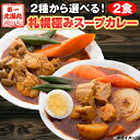 スープカレー 送料無料 2種から選べる 札幌極みスープカレー 2食 豚角煮 チキン 北海道 レトルト