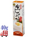 ムソー 旨味本来 生しょうが チューブ入り 40g 国産 生姜使用 無添加 着色料・香料不使用 生姜 チューブ 調味料 薬味 時短 料理用