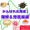 【送料込】がんばれ北海道!海鮮&惣菜福袋(梅:5000円) 食品ロス フードロス