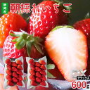 紅ほっぺ きらぴ香 600g (300g×2パック) イチゴ いちご 苺 DX デラックス 贈答用 産地直送 高級 静岡県 伊豆の国 ※沖縄・離島・一部地域によっては送料がかかる場合がございます。