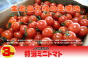 全国最大級の生産地☆熊本県JAたまな『厳選されたミニトマト3kg箱』★【贈答に最適】