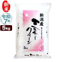 新米 令和7年産 新潟産 ミルキークイーン 5kg 米