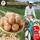 【エントリーでP10倍】【送料無料】【訳あり】淡路島たまねぎ5キロ 【タマネギ】たまねぎ#訳あり淡路玉ねぎ5K# 「淡路島産たまねぎ」 淡路島 玉ねぎ 玉葱 タマネギ たまねぎ たまねぎ葱 玉ねぎ