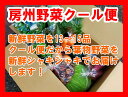 房州野菜クール便パック(新鮮シャキシャキ葉物野菜を必ず含むセット)、合計13～15品の野菜をお届け!必ず葉物が欲しい方はこちらのセットをお買いもとめください。
